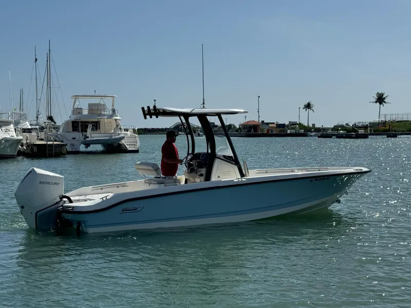 Slide: The Image of 2022 Boston Whaler 250 Dauntless boat on calm water near marina. - 1