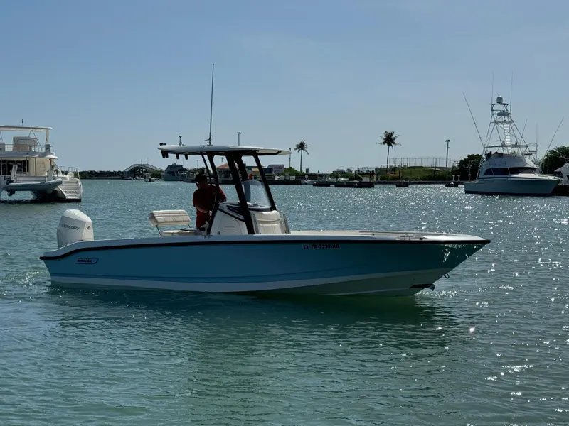 Slide: The Image of 2022 Boston Whaler 250 Dauntless boat cruising in a sunny harbor. - 2