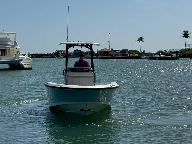 Slide: The Image of 2022 Boston Whaler 250 Dauntless boat cruising in a sunny marina. - 4