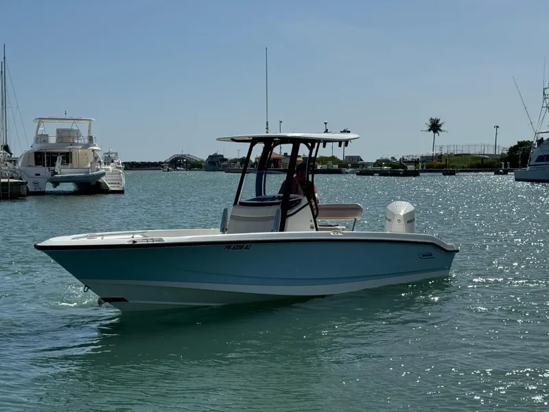 Slide: The Image of 2022 Boston Whaler 250 Dauntless boat on calm water, sunny day. - 5