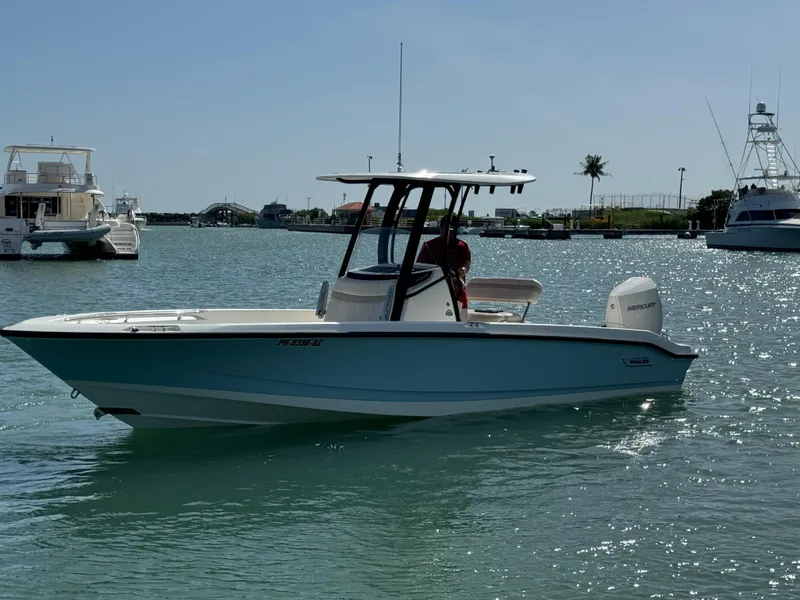 Slide: The Image of 2022 Boston Whaler 250 Dauntless boat on calm water, sunny day. - 6