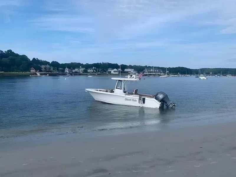 Slide: The Image of 2021 Sea Hunt Ultra 265 SE boat anchored near a sandy shore with scenic background. - 3