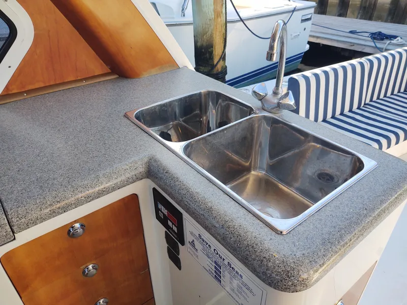 Slide: The Image of Life Savor galley double basin sink  - 21
