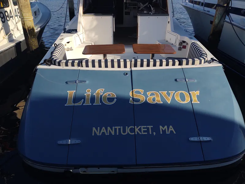 Slide: The Image of Life Savor from aft centerline - 5