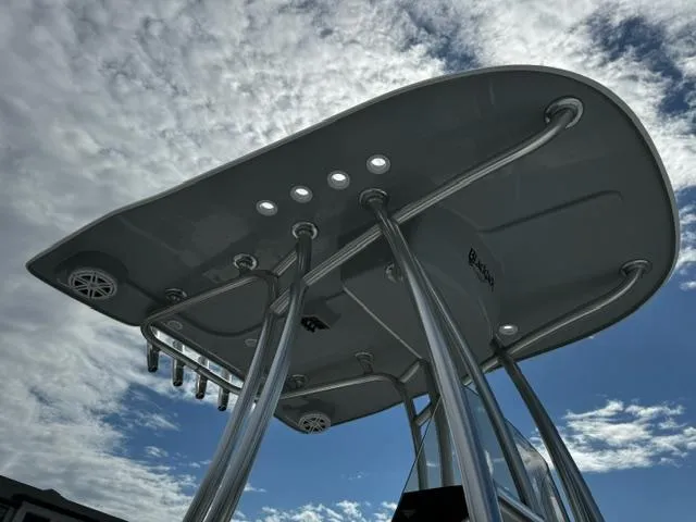 Slide: The Image of BlackJack 224 boat T-top against cloudy sky, 2025 model. - 8