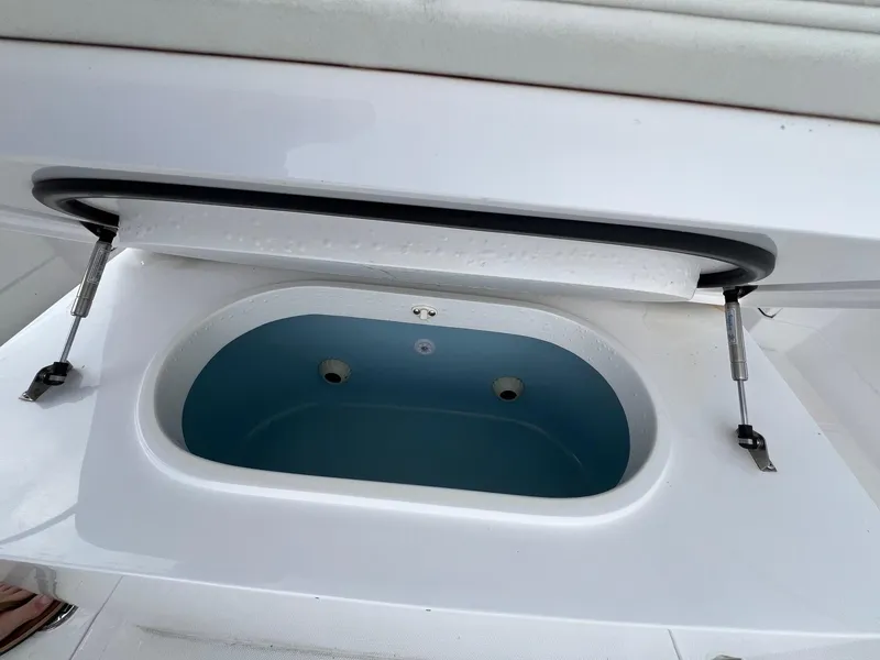 Slide: The Image of Jupiter 38 TWIN LIFE - Livewell - 13