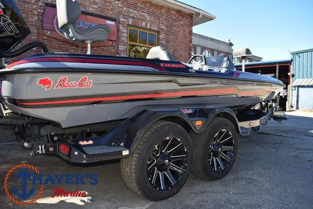 Slide: The Image of Bass Cat Cougar FTD 2025 - 51