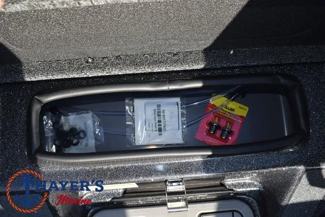 Slide: The Image of Bass Cat Cougar FTD 2025 - 55