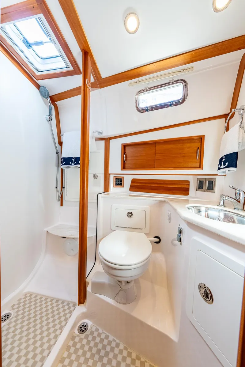 Slide: The Image of Day Head - 29