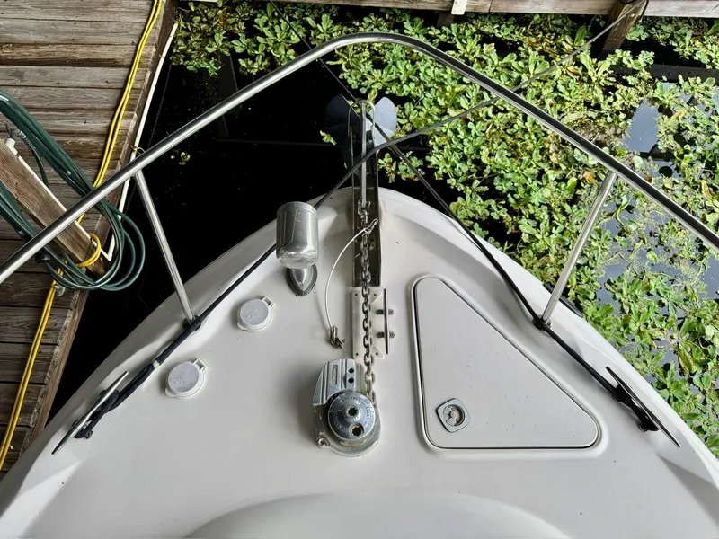 Slide: The Image of Bow of 2000 Sea Ray 340 Sundancer docked, surrounded by water plants. - 4