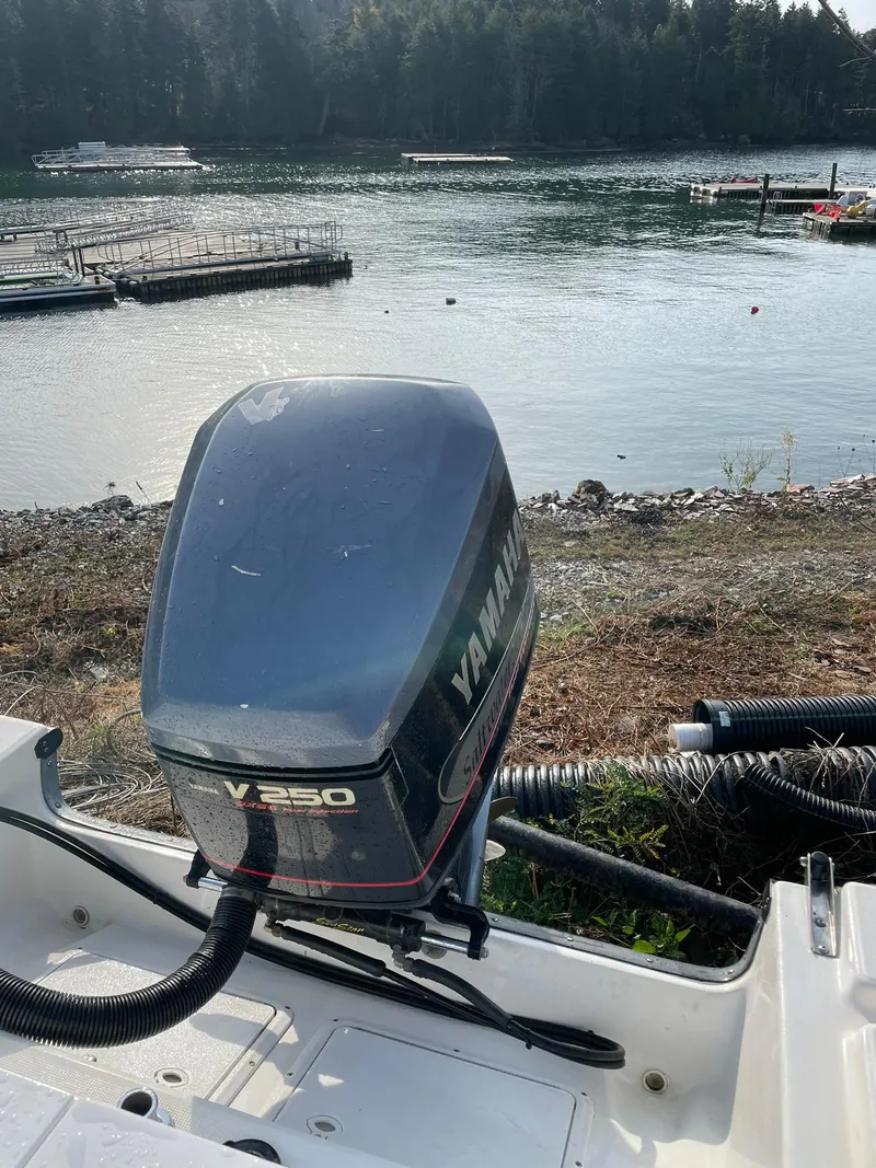 Slide: The Image of Edgewater 247CC boat with Yamaha V250 engine by a serene lakeside. - 38