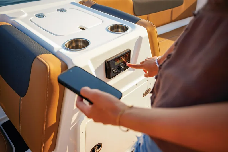 Slide: The Image of Tahoe 1950 2025 - 99