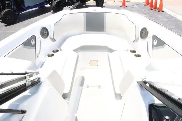 Slide: The Image of Scarab 255 2025 - 10