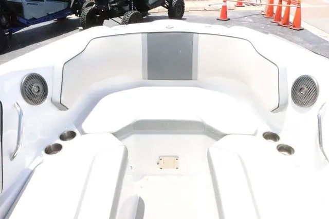 Slide: The Image of Scarab 255 2025 - 11