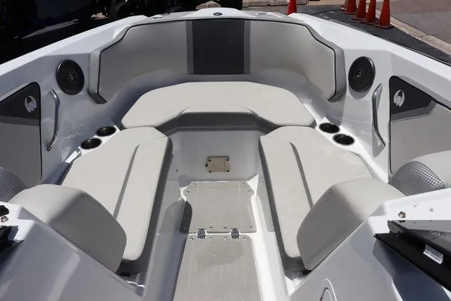 Slide: The Image of Scarab 255 2025 - 13