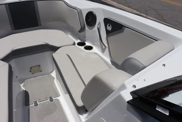 Slide: The Image of Scarab 255 2025 - 14