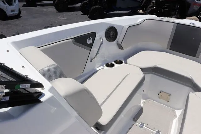 Slide: The Image of Scarab 255 2025 - 15