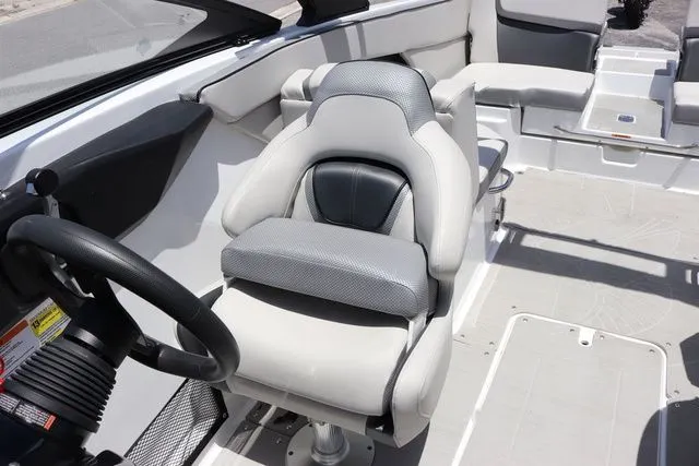 Slide: The Image of Scarab 255 2025 - 18