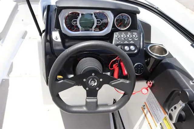 Slide: The Image of Scarab 255 2025 - 19