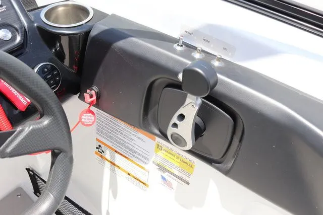 Slide: The Image of Scarab 255 2025 - 20