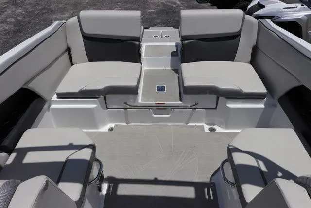 Slide: The Image of Scarab 255 2025 - 21