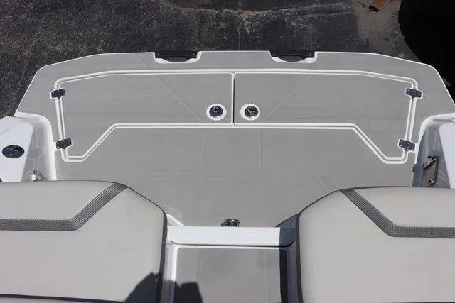 Slide: The Image of Scarab 255 2025 - 24