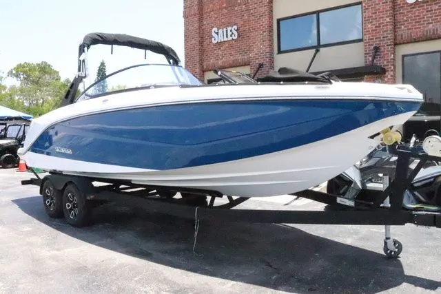 Slide: The Image of Scarab 255 2025 - 3