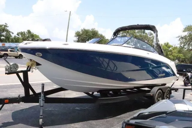 Slide: The Image of Scarab 255 2025 - 5