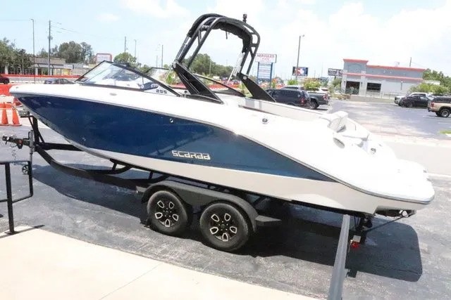 Slide: The Image of Scarab 255 2025 - 7