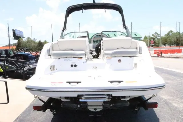 Slide: The Image of Scarab 255 2025 - 8