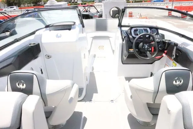 Slide: The Image of Scarab 255 2025 - 9