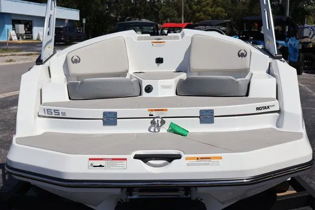 Slide: The Image of Scarab 165 2025 - 10