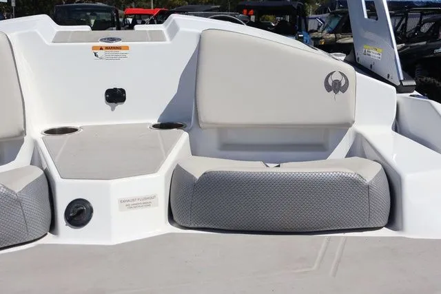 Slide: The Image of Scarab 165 2025 - 11