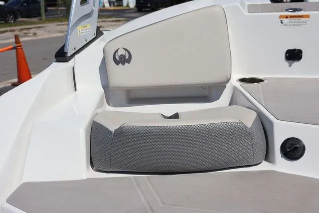 Slide: The Image of Scarab 165 2025 - 12