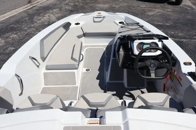 Slide: The Image of Scarab 165 2025 - 13