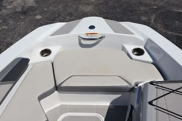 Slide: The Image of Scarab 165 2025 - 14