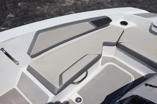 Slide: The Image of Scarab 165 2025 - 15