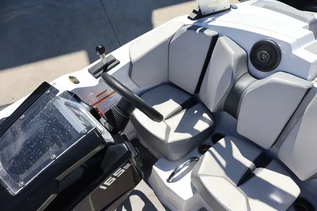 Slide: The Image of Scarab 165 2025 - 17