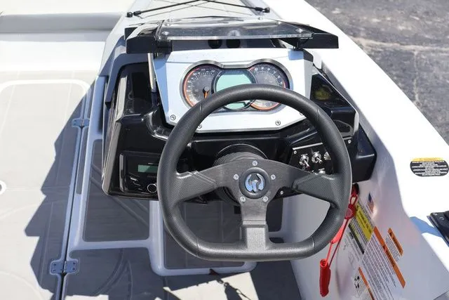 Slide: The Image of Scarab 165 2025 - 18