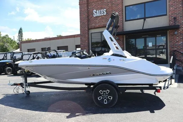 Slide: The Image of Scarab 165 2025 - 3