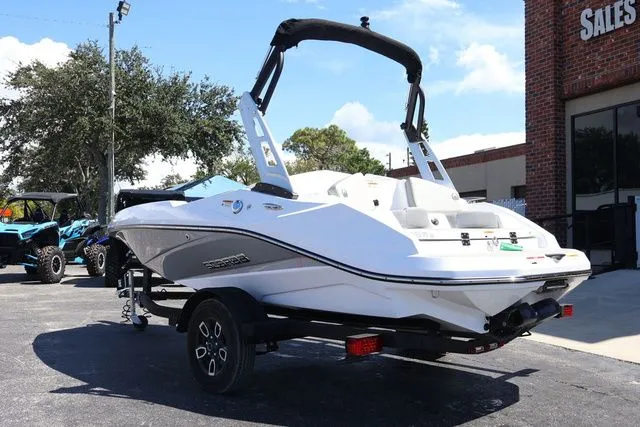 Slide: The Image of Scarab 165 2025 - 4