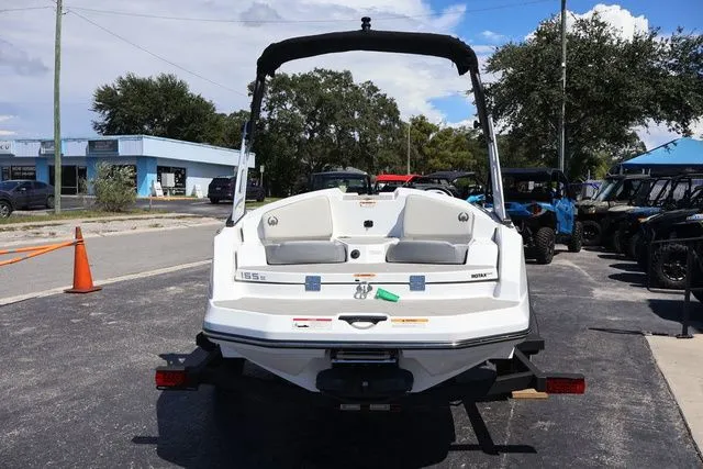 Slide: The Image of Scarab 165 2025 - 5