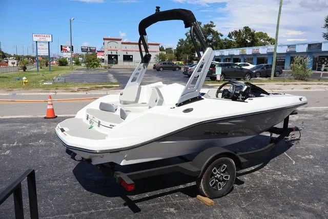 Slide: The Image of Scarab 165 2025 - 6