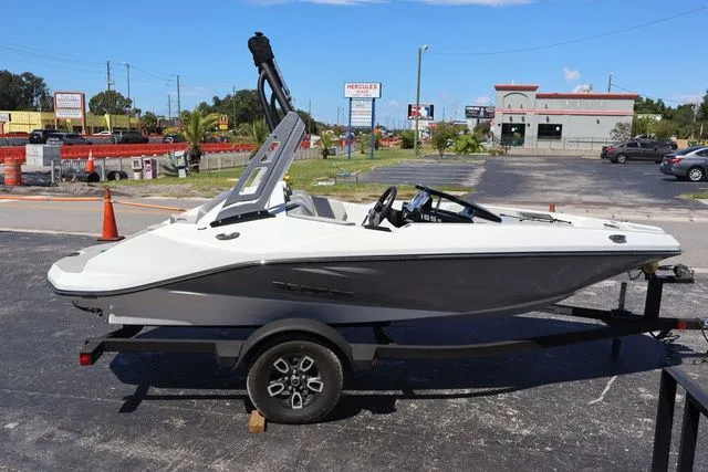 Slide: The Image of Scarab 165 2025 - 7