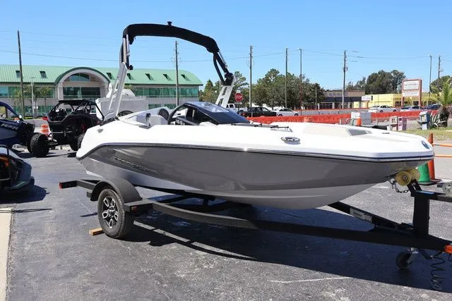 Slide: The Image of Scarab 165 2025 - 8