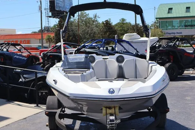 Slide: The Image of Scarab 165 2025 - 9