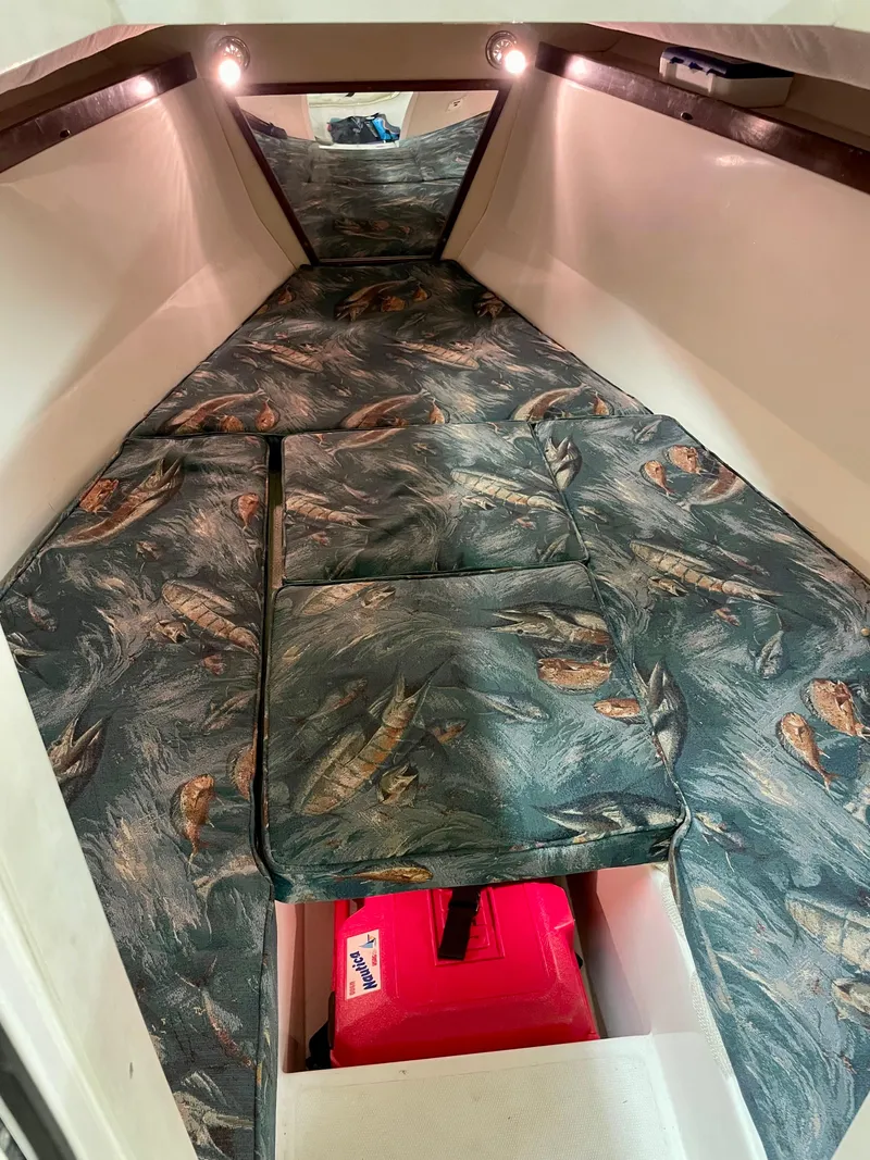 Slide: The Image of Jefferson Marlago FS35 Cuddy 2003 - 15