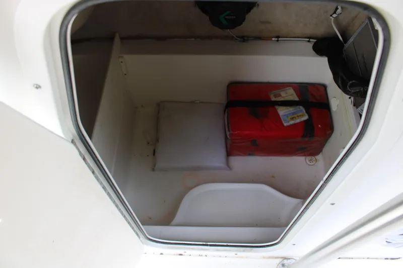 Slide: The Image of Interior storage compartment of 2009 Sea Fox 256CC Pro Series boat with luggage. - 15