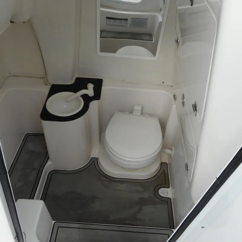 Slide: The Image of Electric Head - 30