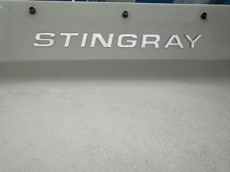 Slide: The Image of 2015 Stingray 191RX boat logo on a gray surface. - 3